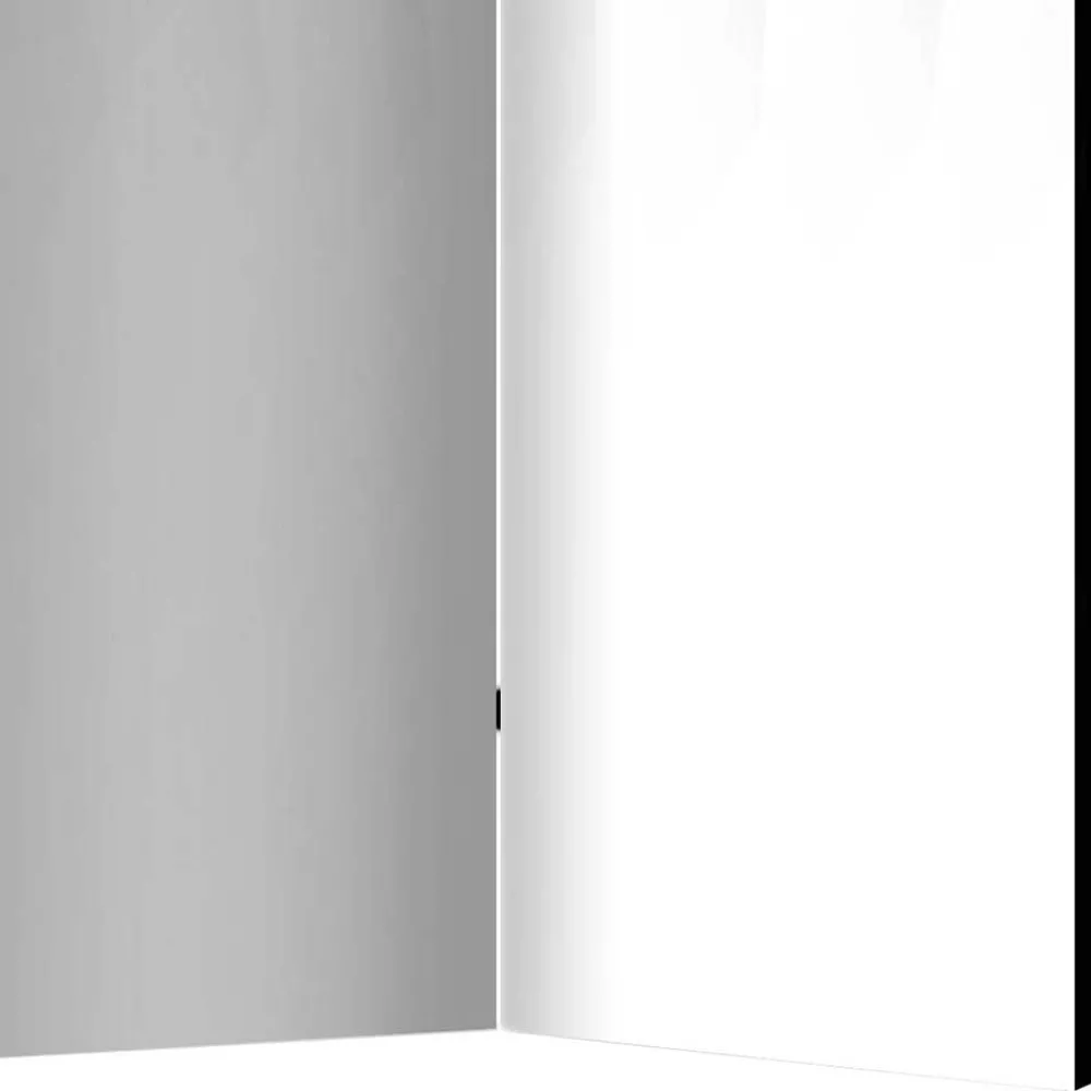 5 Elemente Trennwand Dressa*Pharao24