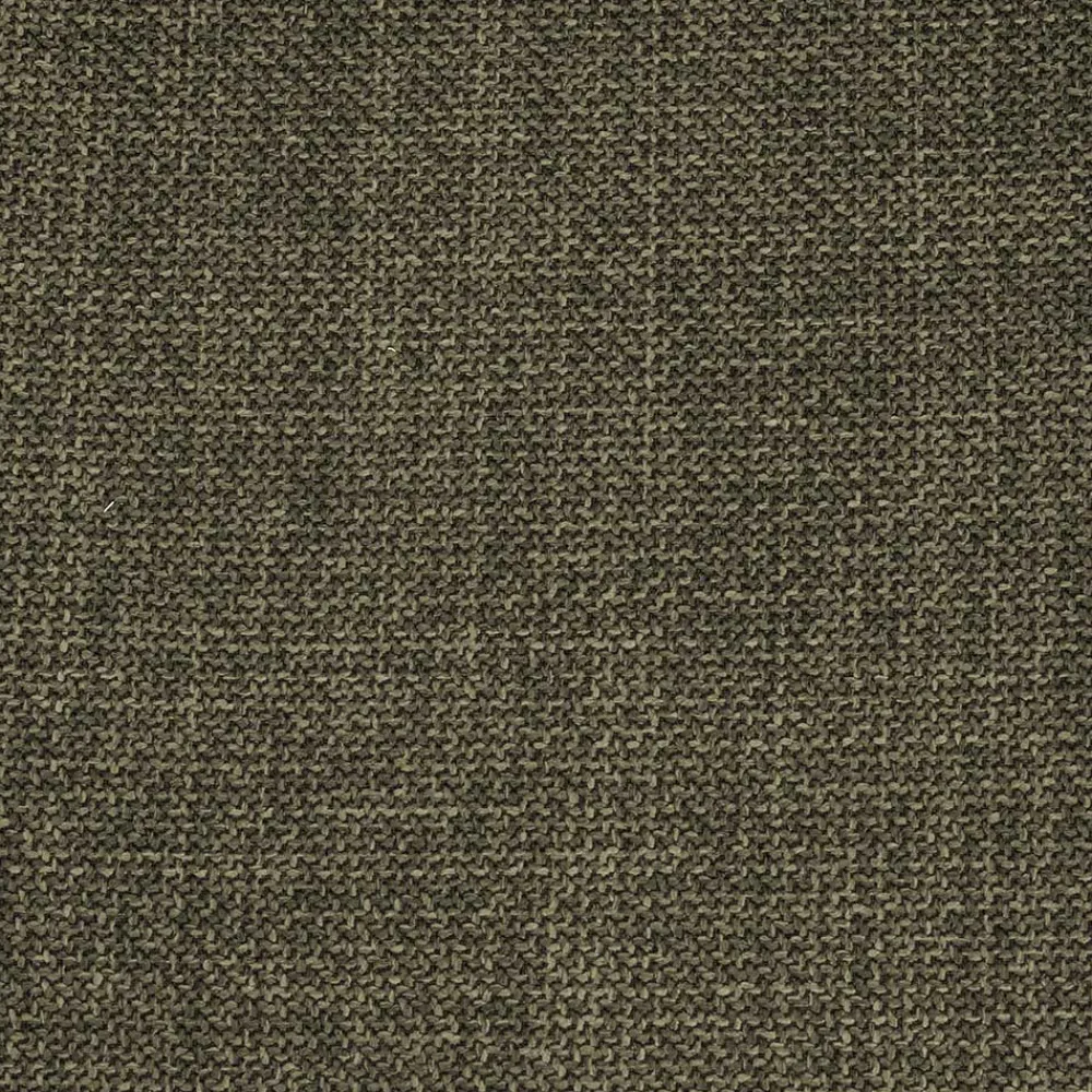 2 Stühle Calmagon*Pharao24 Discount