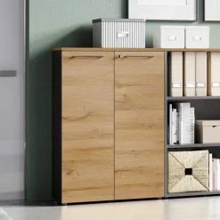 Aktenordnerschrank Zaraktis*Pharao24 Outlet