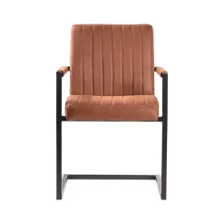 Armlehnen Freischwinger Eliane*Pharao24 Outlet