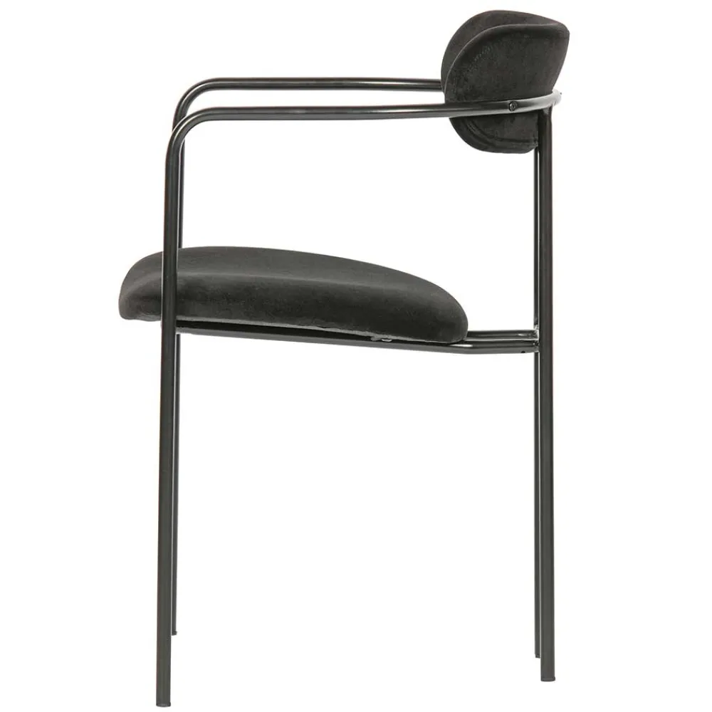 Armlehner Botein*Pharao24 Sale