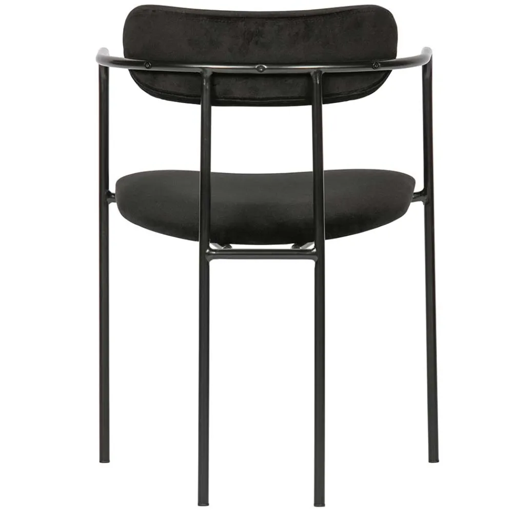 Armlehner Botein*Pharao24 Sale