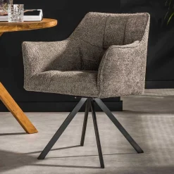 Armlehnstühle Esstisch Colore*Pharao24