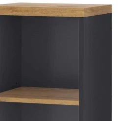 Online Badezimmer Schrank Sentiagamo Bad Hochschränke