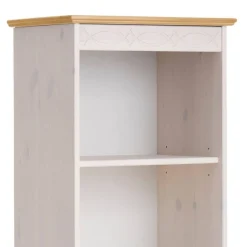 Online Bücherregal Regine Massivholzregale|Bücherregale