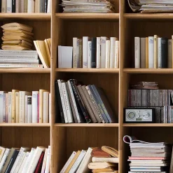 Bücherregal Vlarenzo Regalschränke|Wohnzimmerregale