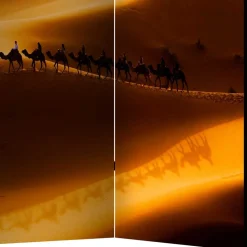 Blickdichter Paravent Anzarote*Pharao24 Sale