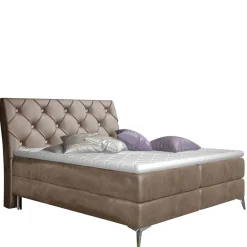 Box Bett Faviconda*Pharao24