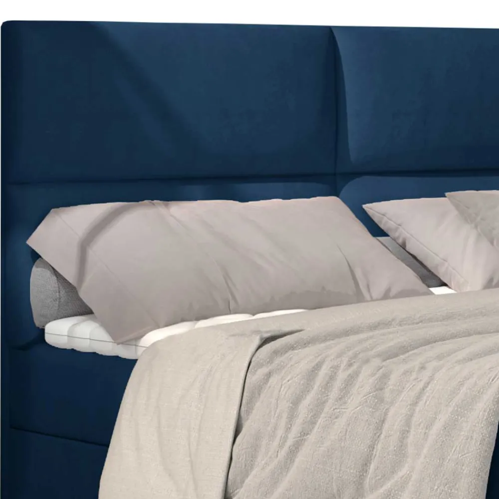 Boxbett Amrosa*Pharao24