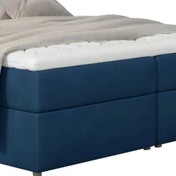 Boxbett Amrosa*Pharao24