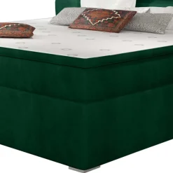 Boxbett Barahoma*Pharao24 Hot