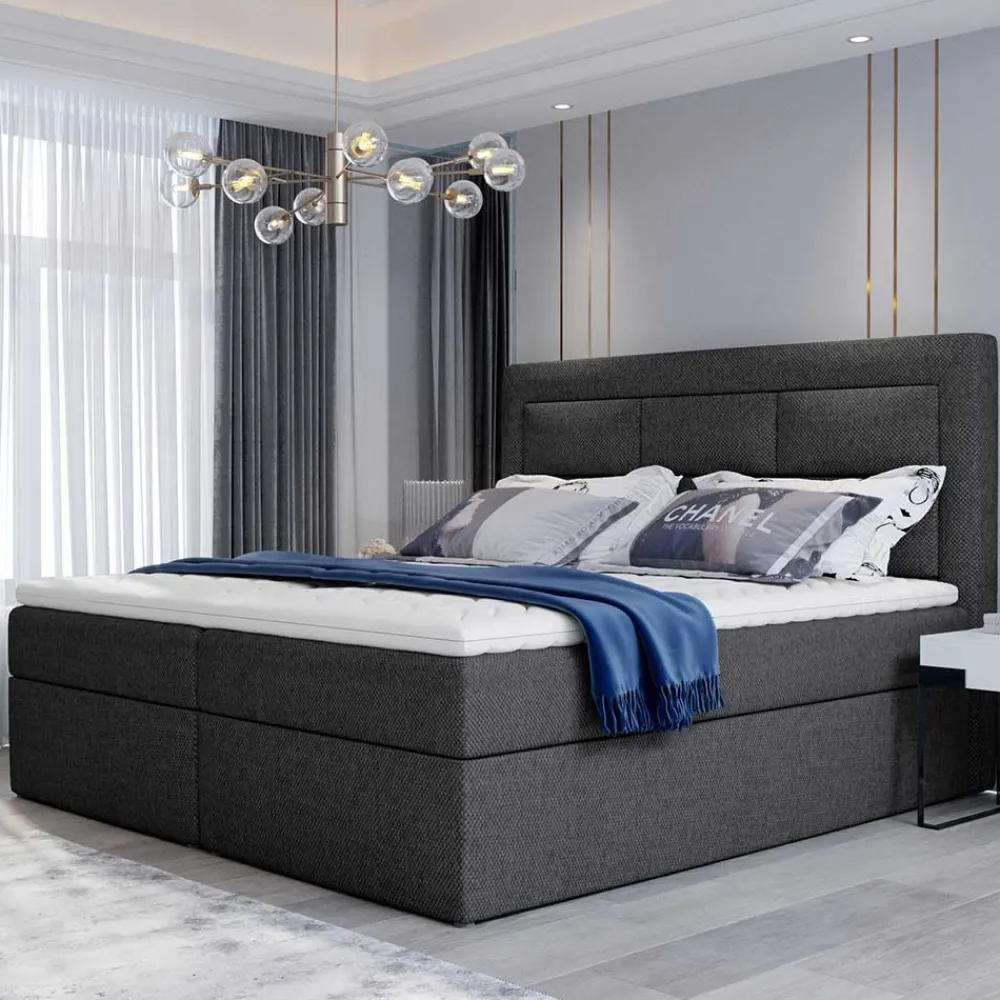 Boxbett Charinas*Pharao24