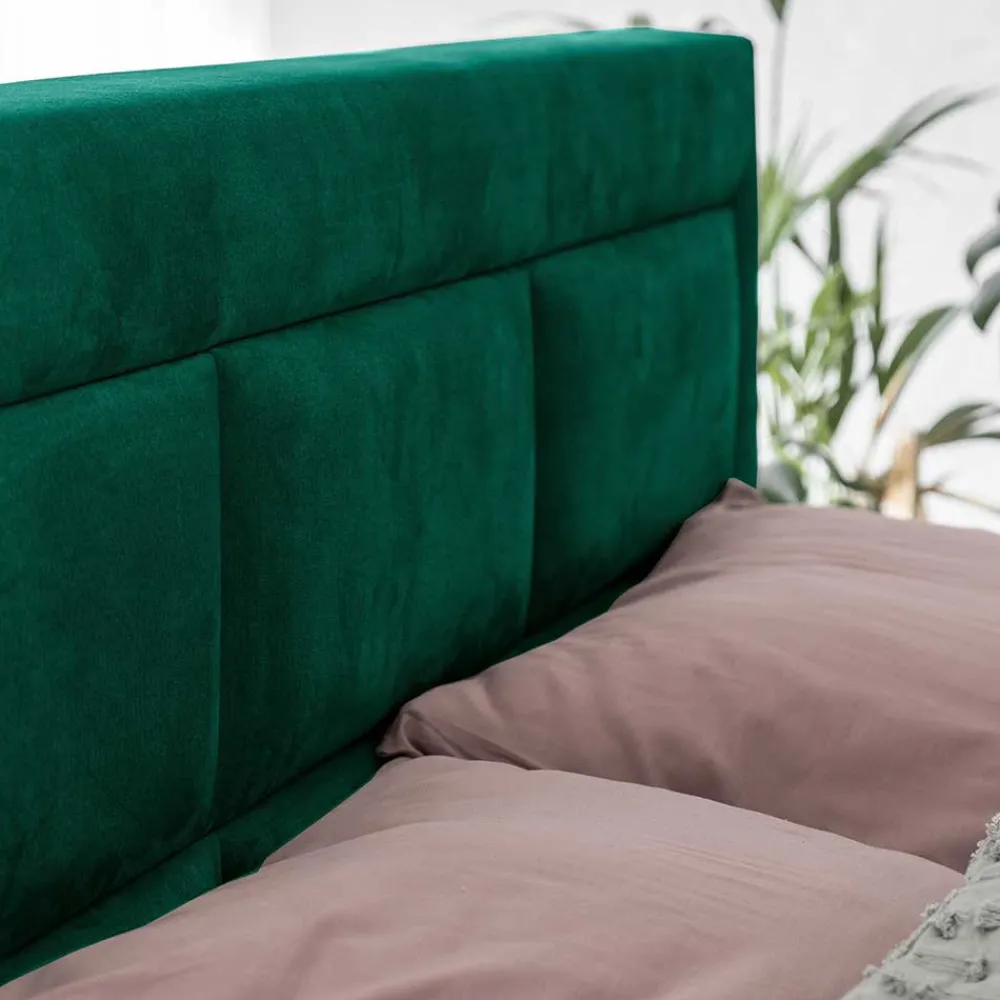 Boxbett Narcisso*Pharao24 Clearance