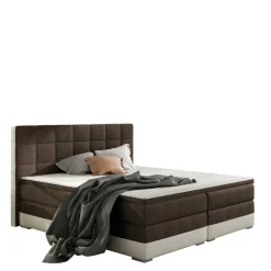 Boxbett Pitlane*Pharao24