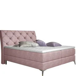 Boxbett Prisma*Pharao24 Best