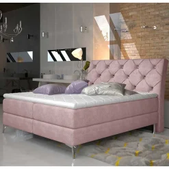 Boxbett Prisma*Pharao24 Best