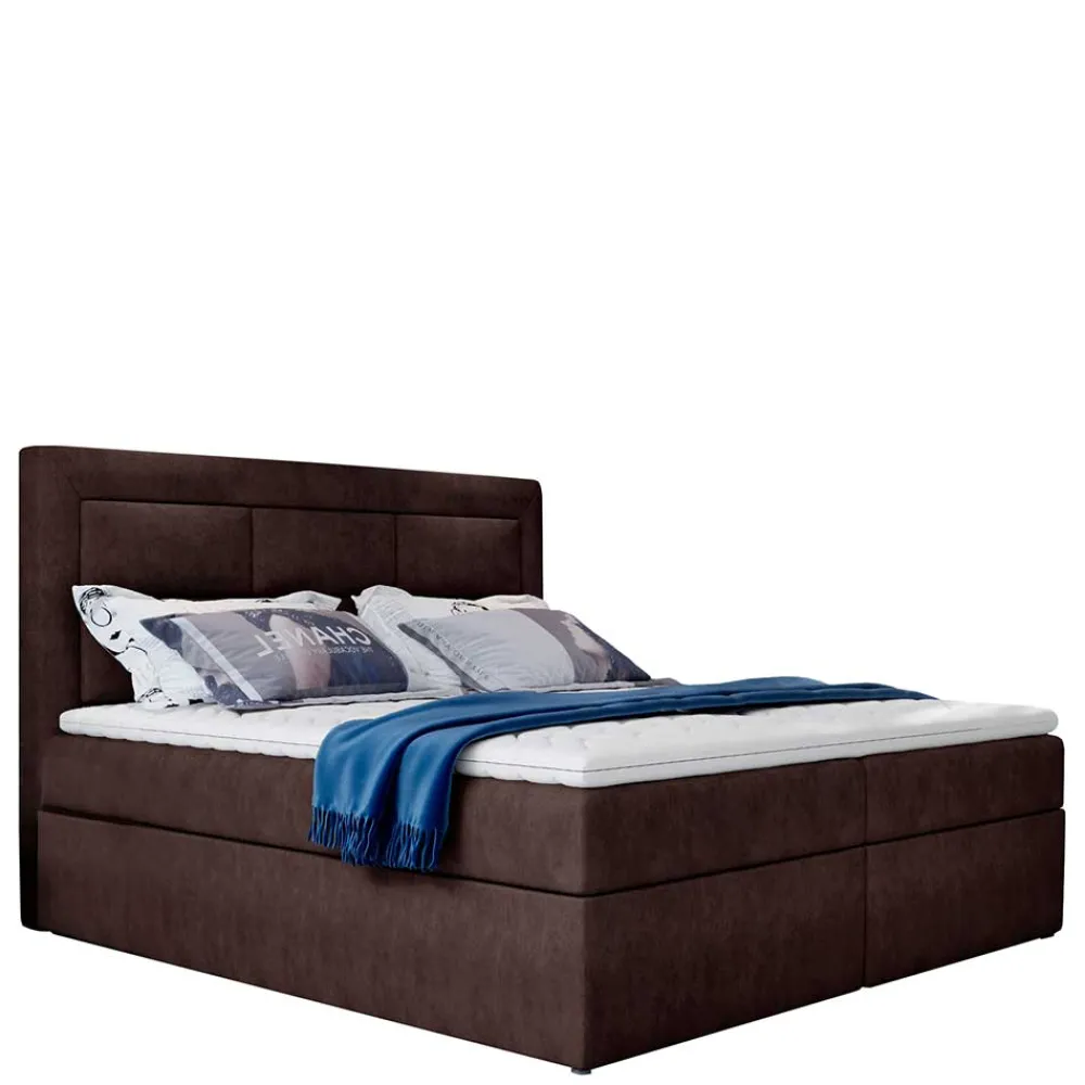 Boxbett Vimalta*Pharao24 Hot