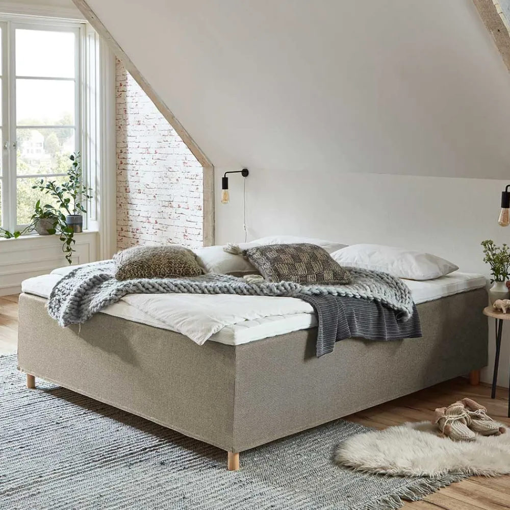 Boxspring Bett Dancer*Pharao24 Best