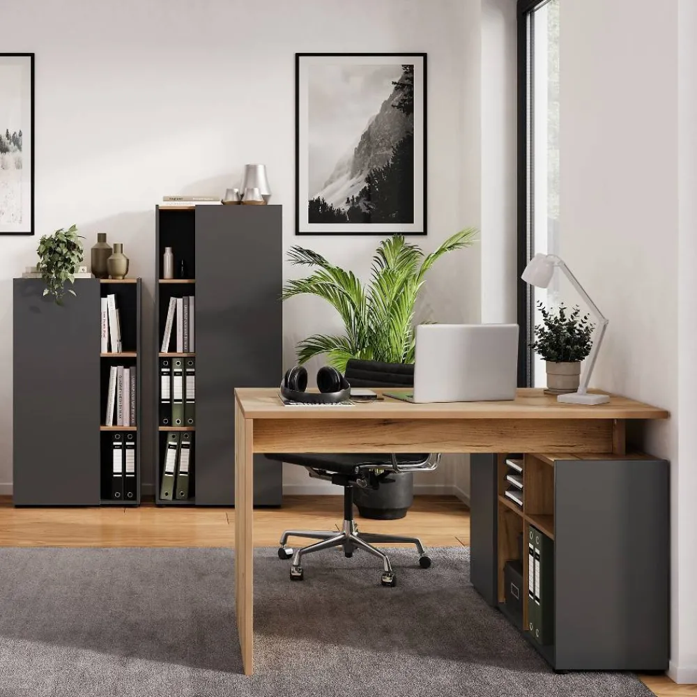 Büromöbel Set Liadoras*Pharao24 Hot