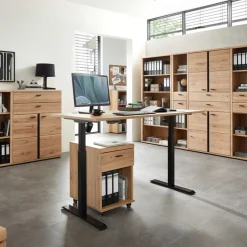 Outlet Büroschreibtisch Carsons Schreibtische