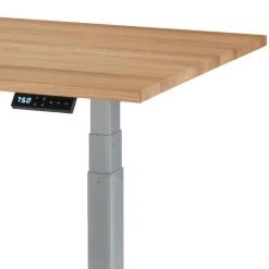 Büroschreibtisch Samluca*Pharao24 Online