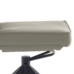 Esstisch Stühle Janetta Hochlehner|Lederstühle