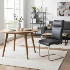 Esszimmer Freischwinger Kanaro Freischwinger