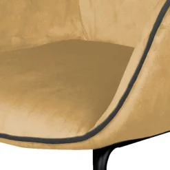 Esszimmerarmlehnstuhl Edeline*Pharao24