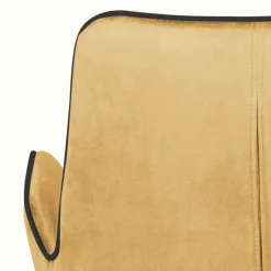 Esszimmerarmlehnstuhl Edeline*Pharao24