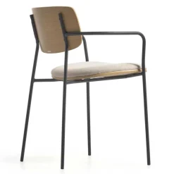 Esszimmerarmlehnstuhl Set Tessa*Pharao24 Sale