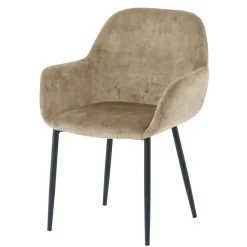 Esszimmerarmlehnstuhl Set Danatura*Pharao24 Hot