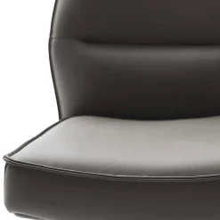 Sale Esszimmerstuhl Arzoo Hochlehner|Lederstühle