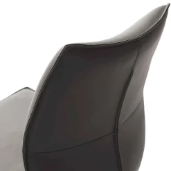 Esszimmerstuhl Baselta Hochlehner|Lederstühle