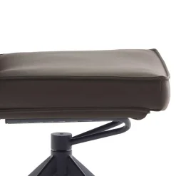 Esszimmerstuhl Baselta Hochlehner|Lederstühle