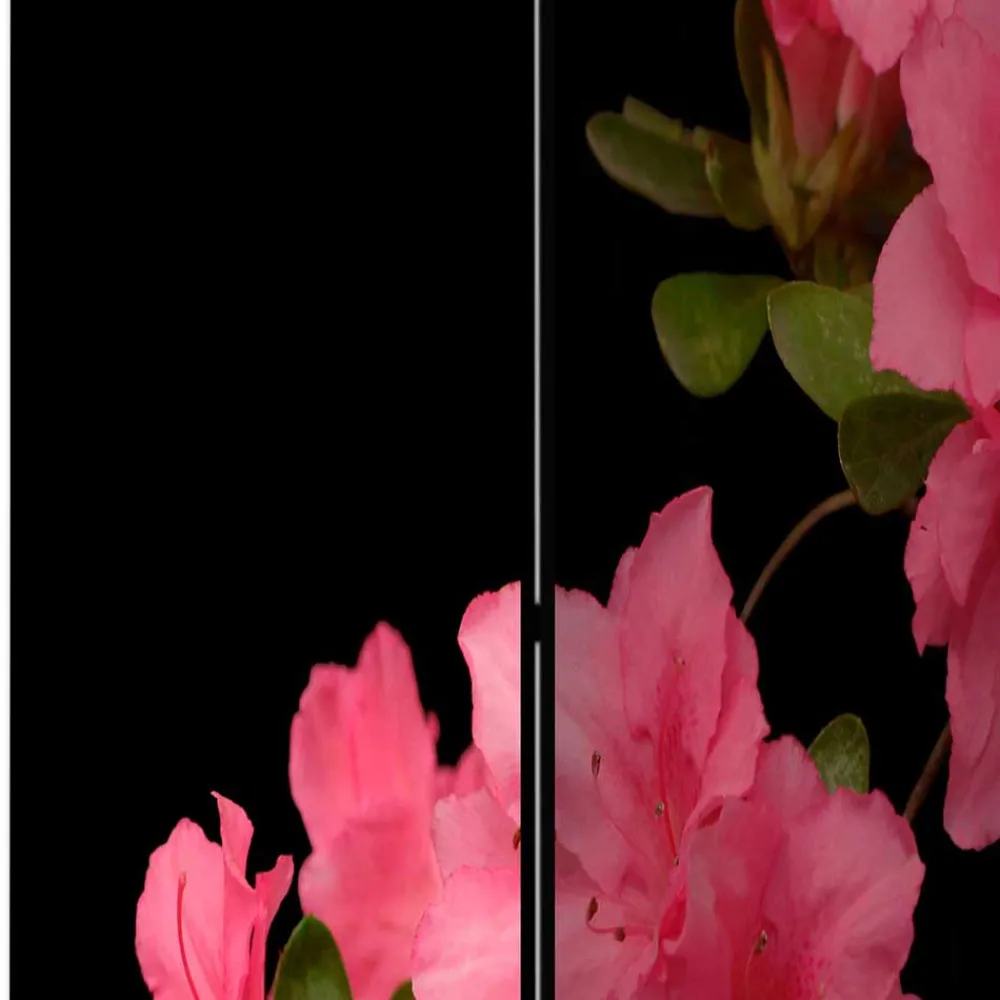 Outlet Fotodruck Paravent Marlyna Paravents|Raumteiler