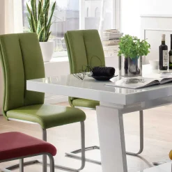 Freischwingerstuhl Set Ereventas*Pharao24 Online