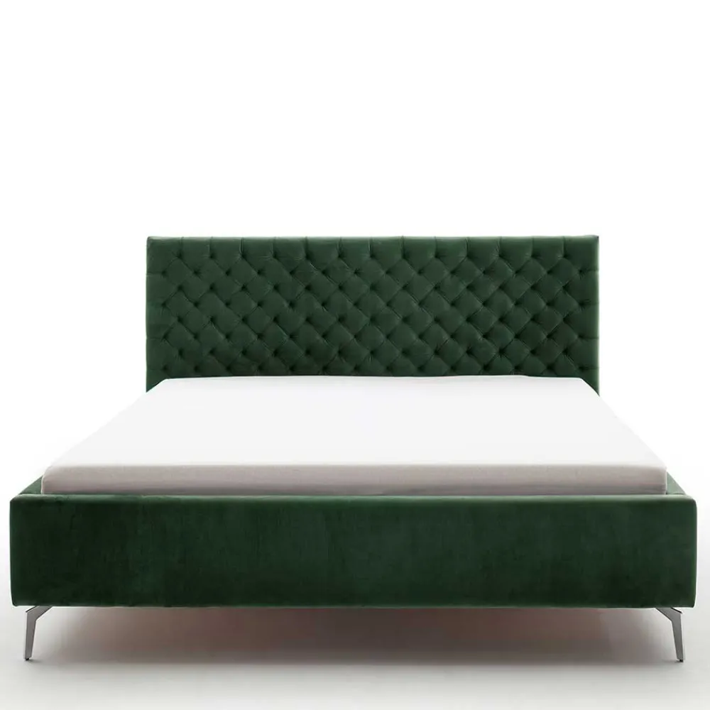 Gepolstertes Bett Colora*Pharao24 Outlet