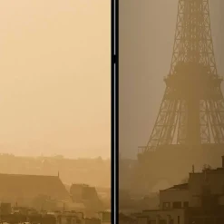 Großformat Paravent Alici*Pharao24 New