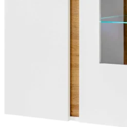 Online Hängevitrine Franvos Wandvitrinen