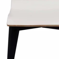 Hochlehner Florida*Pharao24