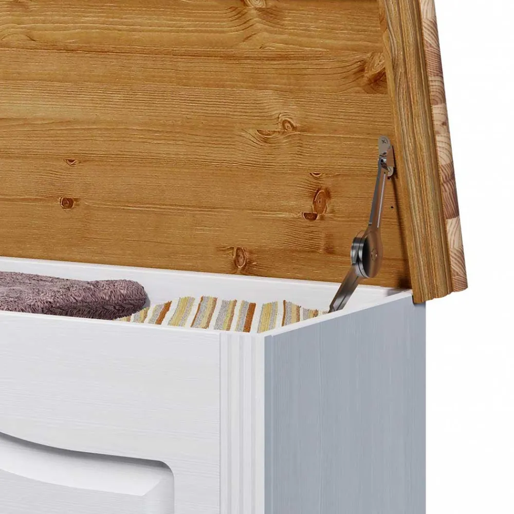 Online Holztruhe Renata Truhen