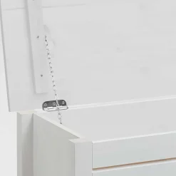 Massivholztruhe Vilatata*Pharao24 Hot