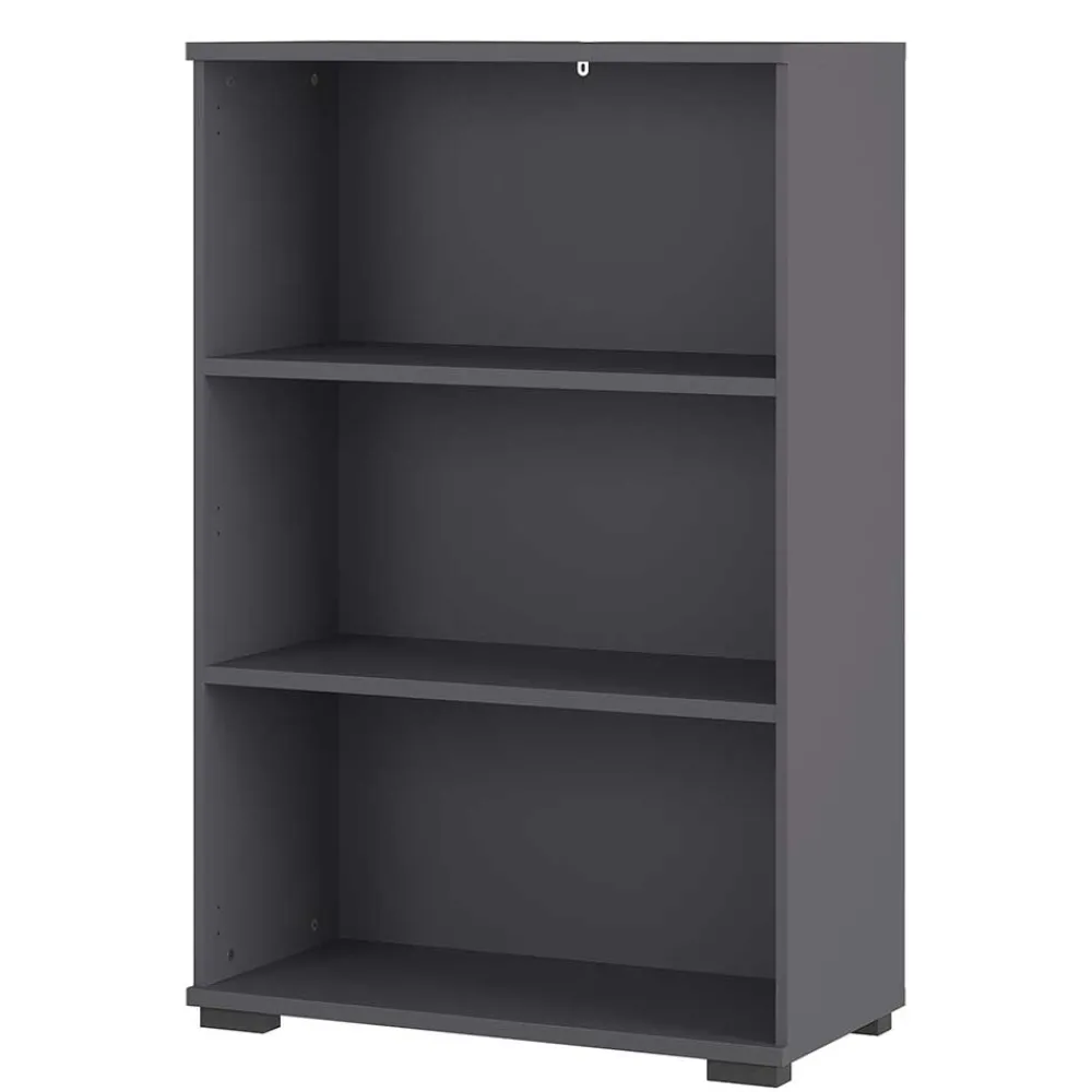 Online Ordnerregal Tordian Regalschränke|Standregale