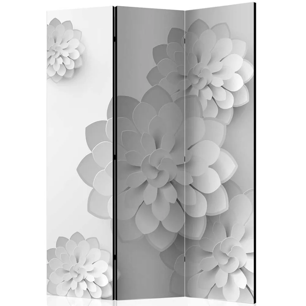 Paravant Ramotu*Pharao24 Outlet