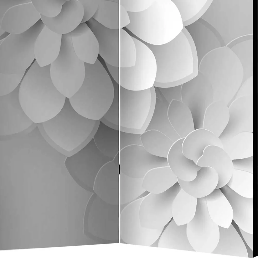 Paravant Ramotu*Pharao24 Outlet