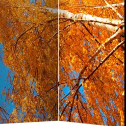 New Paravent Duben Paravents|Raumteiler