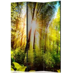 Outlet Paravent Raumteiler Florian Paravents|Raumteiler