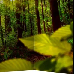 Outlet Paravent Raumteiler Florian Paravents|Raumteiler