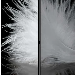 Paravent Raumtrenner Salzburg*Pharao24 New