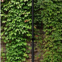 Paravent Trennwand Elegatos*Pharao24